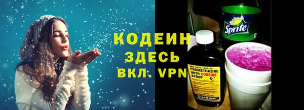 хмурый Алзамай
