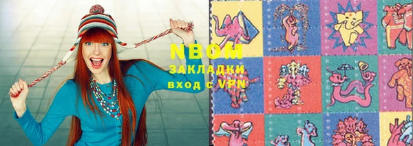 хмурый Алзамай