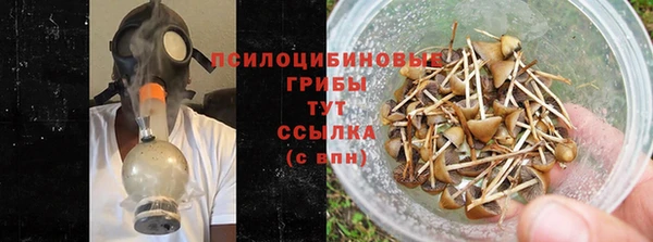 хмурый Алзамай