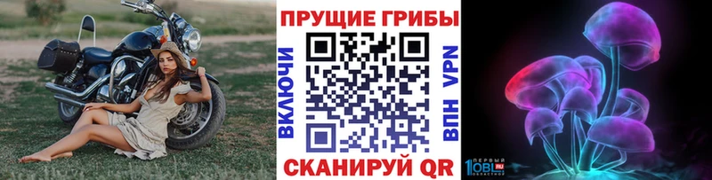 Галлюциногенные грибы Magic Shrooms  купить наркотик  Бийск 