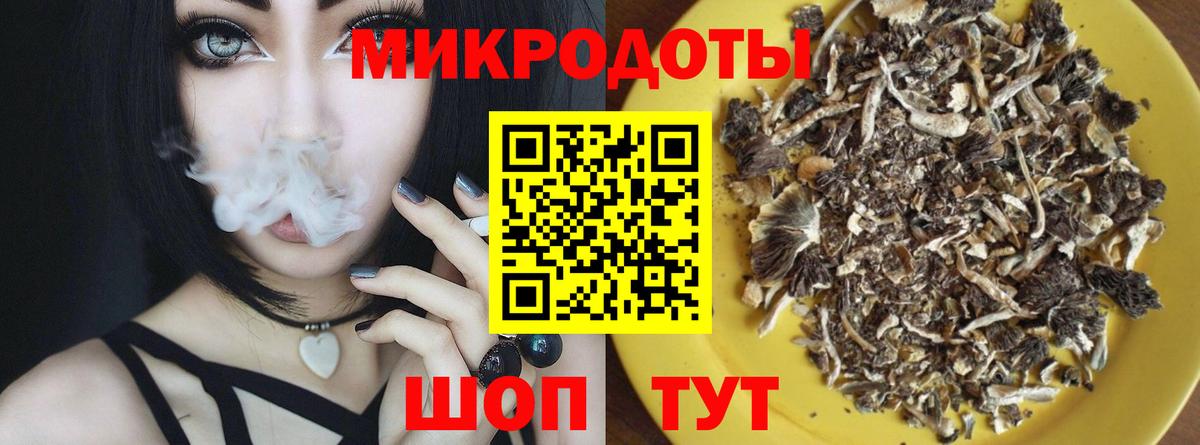 Бийск  Псилоцибиновые грибы GOLDEN TEACHER  Вход с VPN  Псилоцибиновые грибы GOLDEN TEACHER 