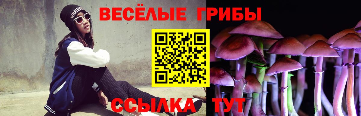 Псилоцибиновые грибы Бийск