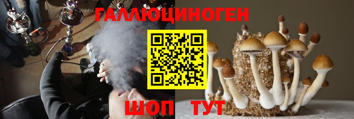 Псилоцибиновые грибы MAGIC MUSHROOMS Бийск